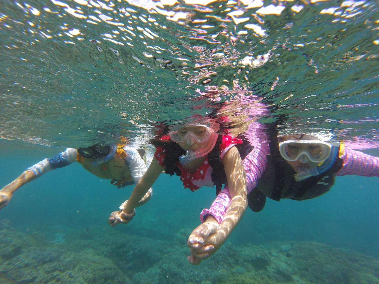 1日シュノーケルセットレンタルプラン/ダイブロック - じゃらん遊び体験