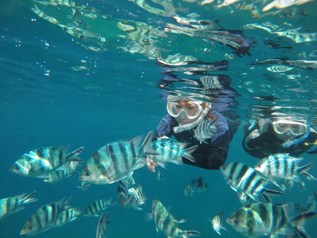 お魚いっぱい