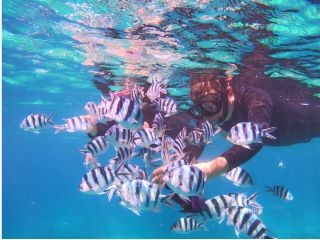 町の近くでもこんなに魚が見れます!