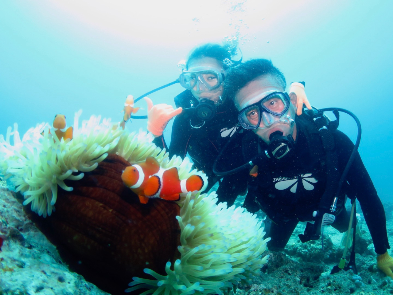 C̃AChEJNN}m~Ǝʐ^Be