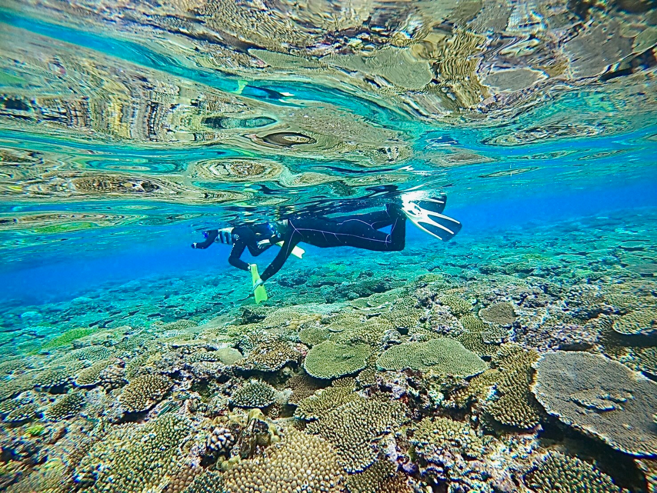透き通る青い海にただ浮かんでいるだけでカラダもココロもどんどん癒されていきます