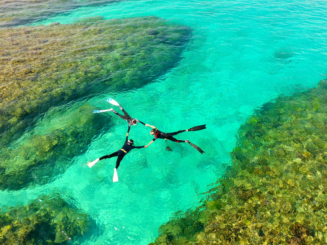 ʂCŐŜtbVIRɕ܂̂ЂƂƂ 