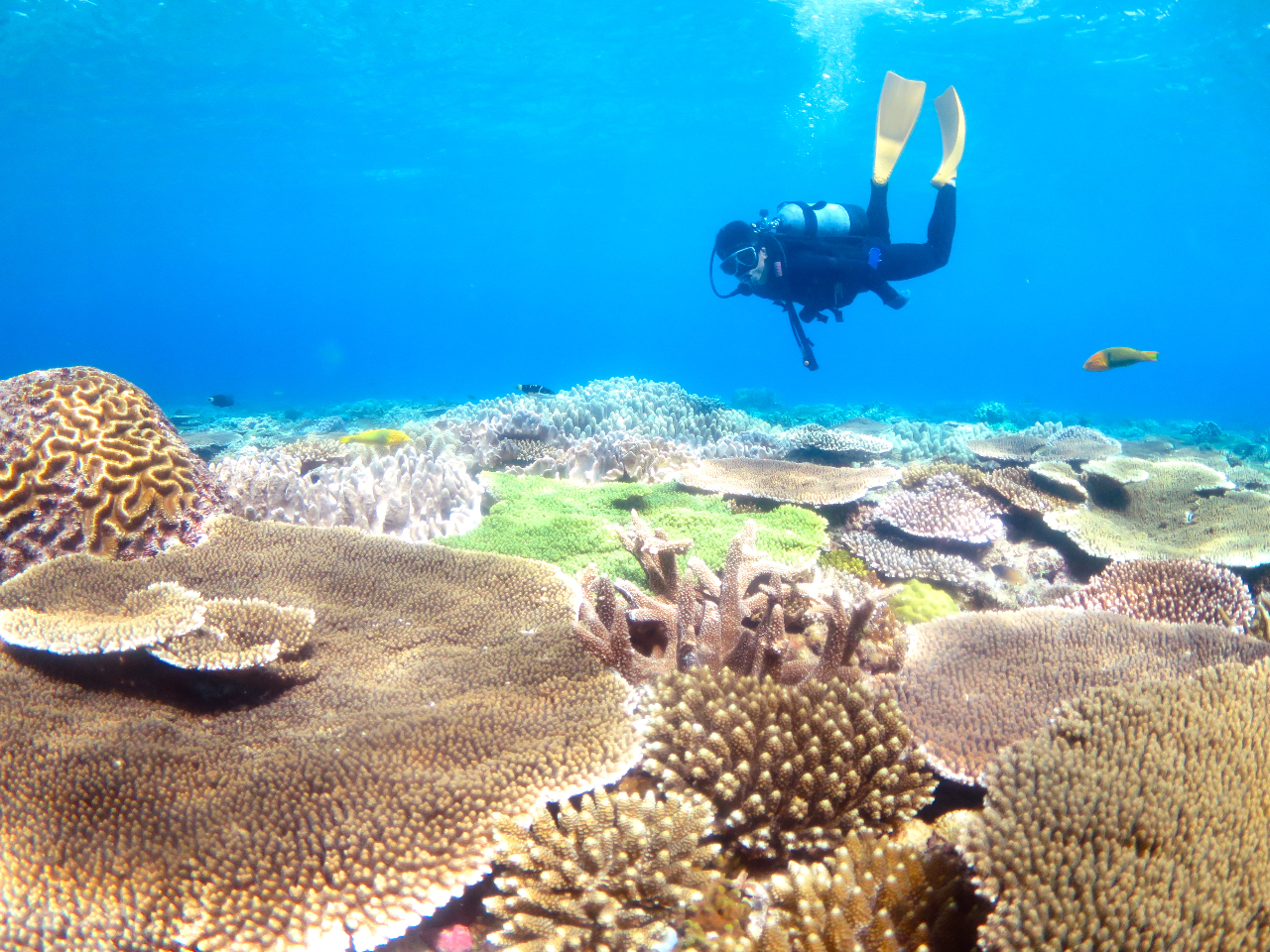 FN₩ȃTSʂƂǂ܂łʂC