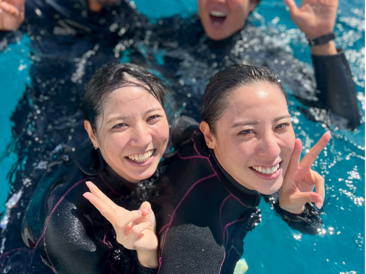 ���������̊C�����́I�Ί�ɂȂ����Ⴄ���