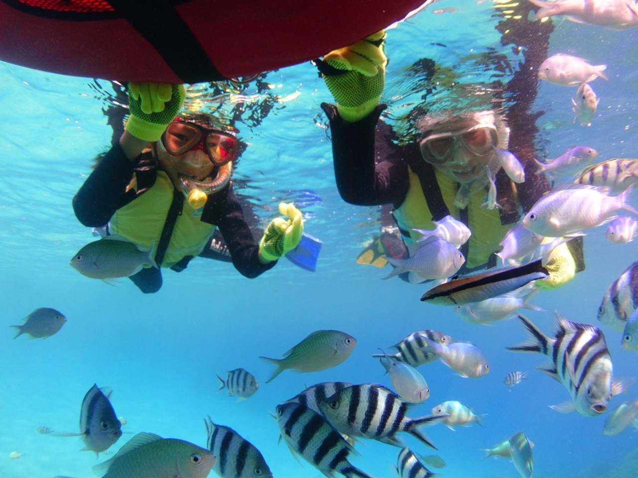 �J���t���ȋ������ƈꏏ�ɉj�������̌��I�ق�I�����肪�͂������I�I