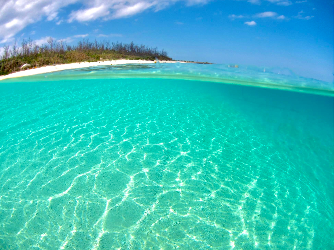 �ō��̔���C�f���u���[�̐��E�I����Ȃ�ł͂̓����ʂ���C�͊����K���I�I