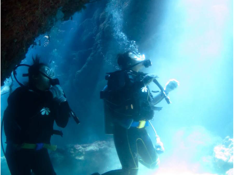 �V����˂��悤�Ȍ��������̃u���[�z�[����N�₩�ɏƂ炵�܂��B�̓��A�ɂ������Ȃ��i�ς����Ђ��y���݂���������