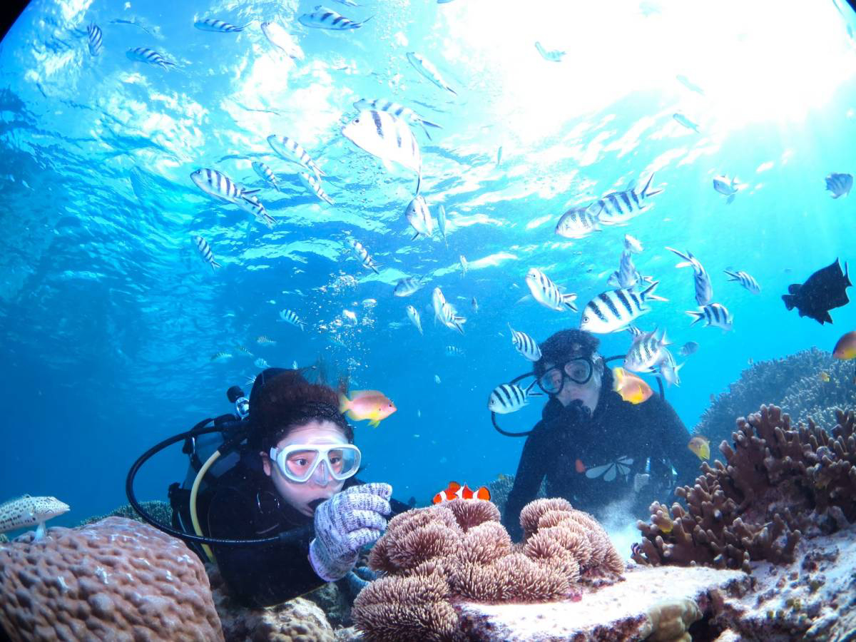 �j���ɉ�邱�Ƃ������ł��I�f���ʐ^��ʎB�e�̃`�����X�ł���