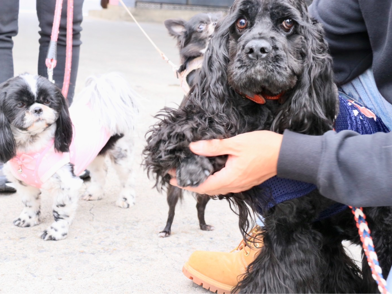 粘土の準備が出来たら足型を押していきます♪