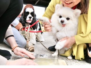 淡路瓦で作るオンリーわんっ♪足型プレート