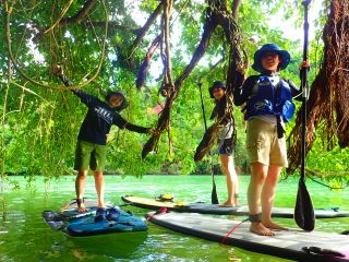 スタンドアップ!優雅な水中散歩