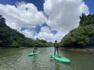 スタンドアップ!優雅な水中散歩