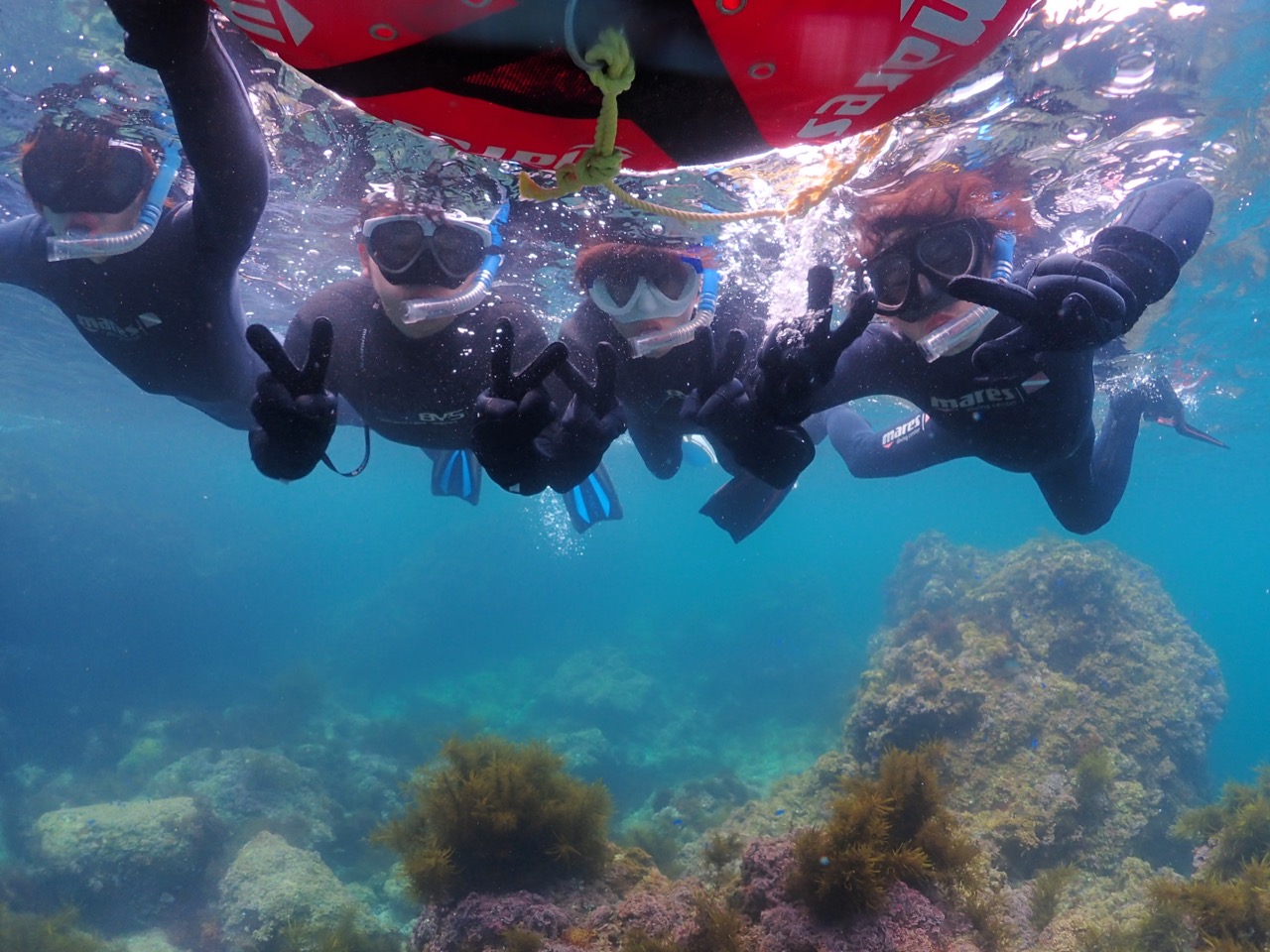 sȕ̓t[gɕ߂܂Ȃ琅ώ@I