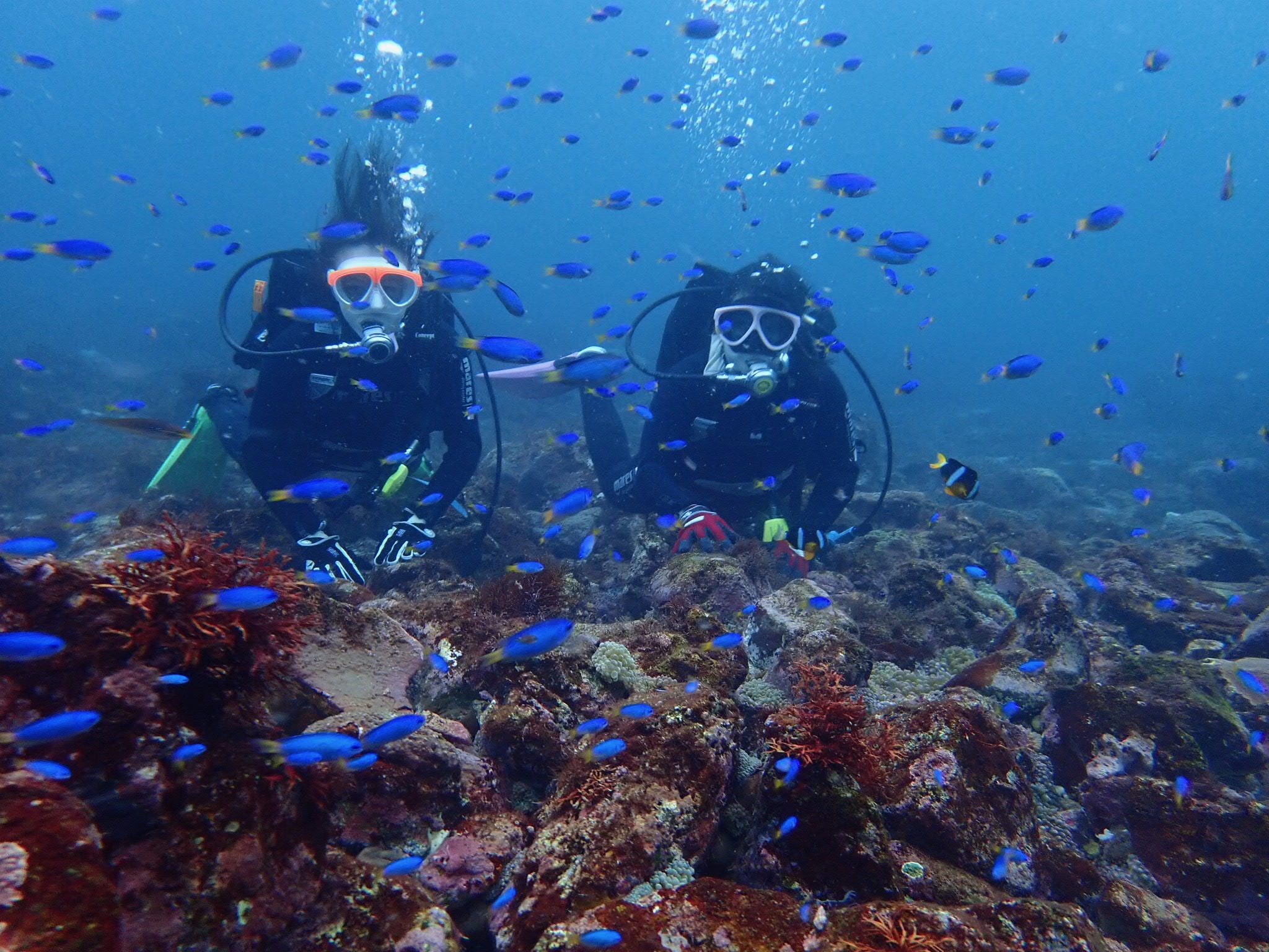 ベストシーズンの秋から冬にかけては青いお魚に囲まれます!はい、チーズ♪
