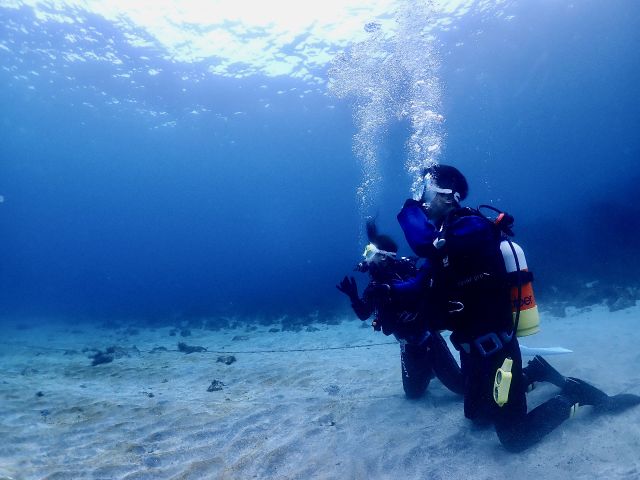 クリアで青い海が広がる朝イチの水中世界。思わず見入ってしまうほど綺麗です(^^)♪