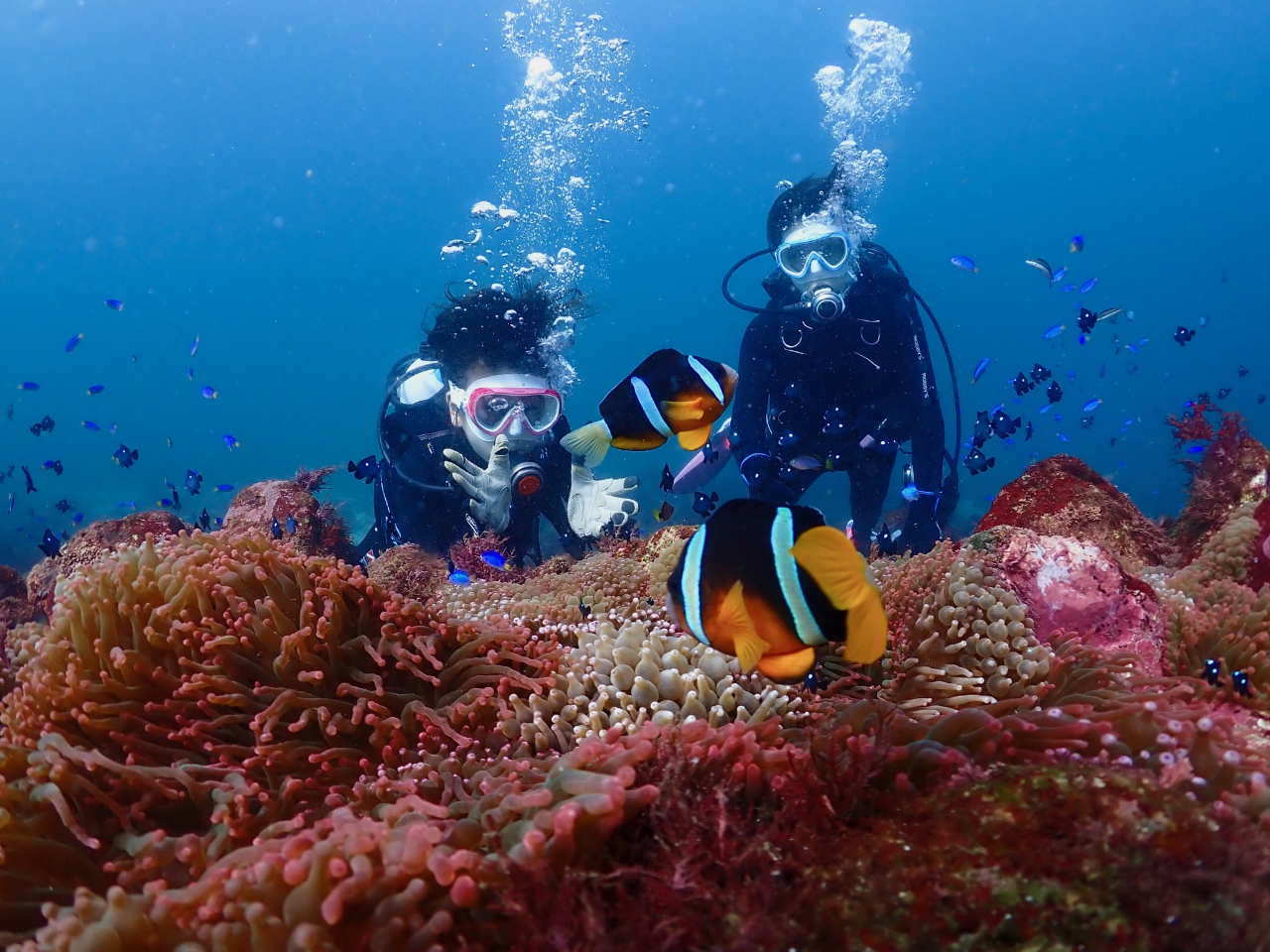 N}m~`Ȃɋ߂Ɂɓł͒ʔNώ@łǍ_Co[̃AChłB