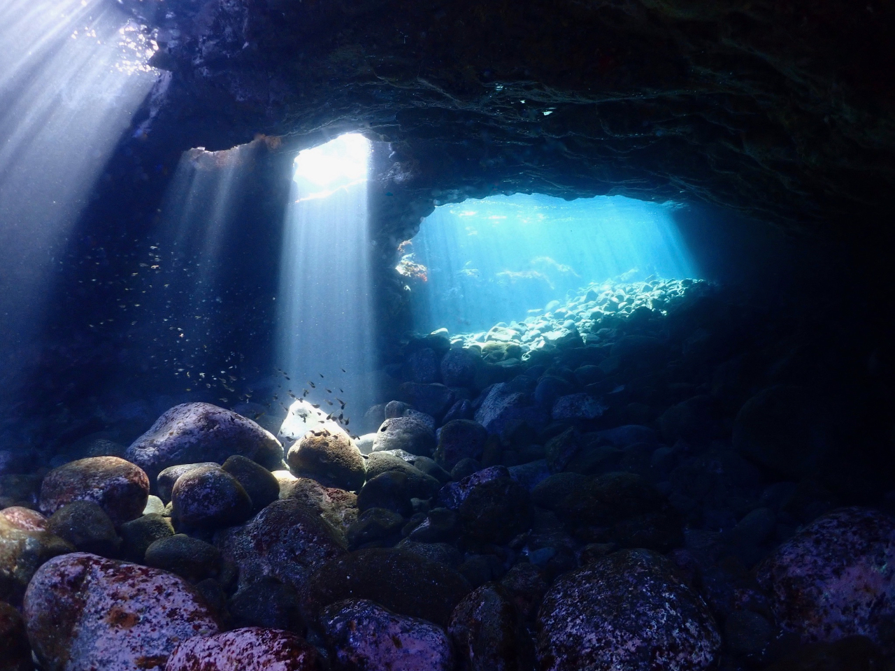 【ダイビング×初心者】ライセンス取得者限定♪器材フリーレンタル【じゃらん限定・2...