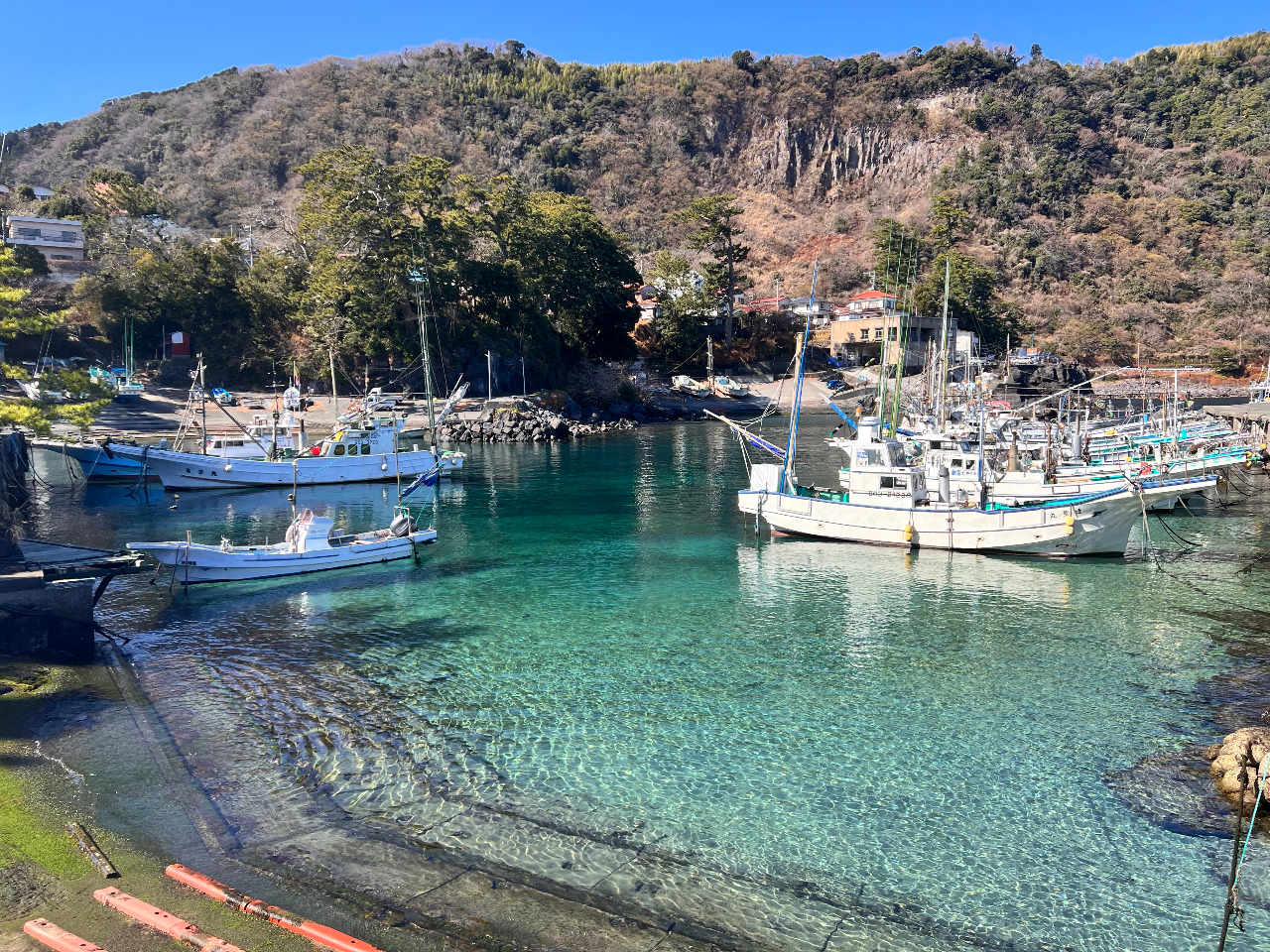 Ro}r[`̂eɂ萅Bw̗󐣂琅[R[g炢܂ł̂ŁAuK⃊tbV̍ۂ͂ŗK܂B