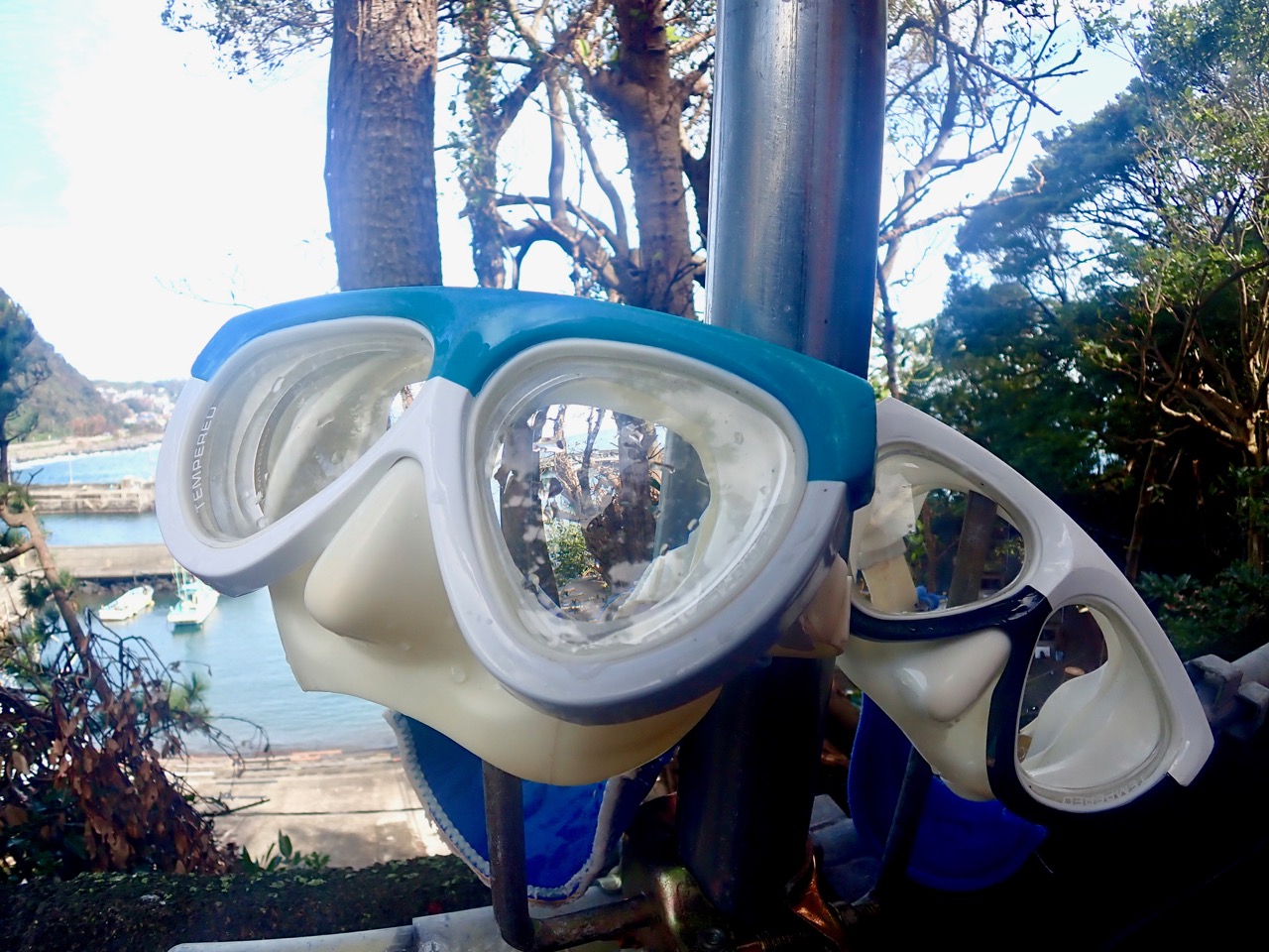 x̌肪܂Axt}XN̂pӂ܂B