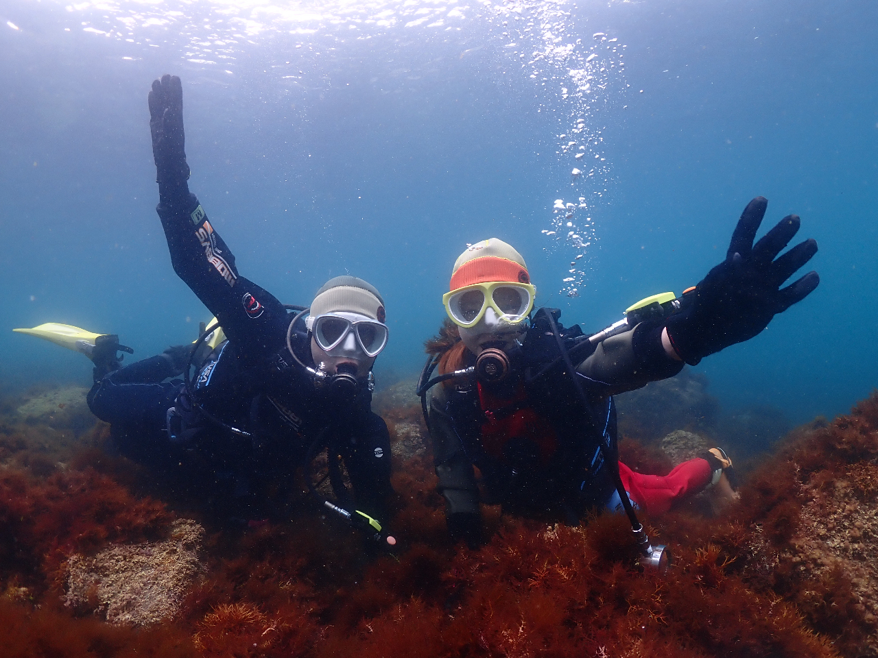 海の底で、恋が弾けるダイブ旅!