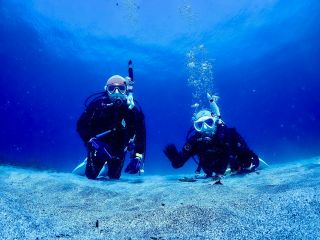 富戸・ヨコバマビーチの特徴は南の島に負けない白い砂地w。中層をふわふわ漂うだけで癒されます。