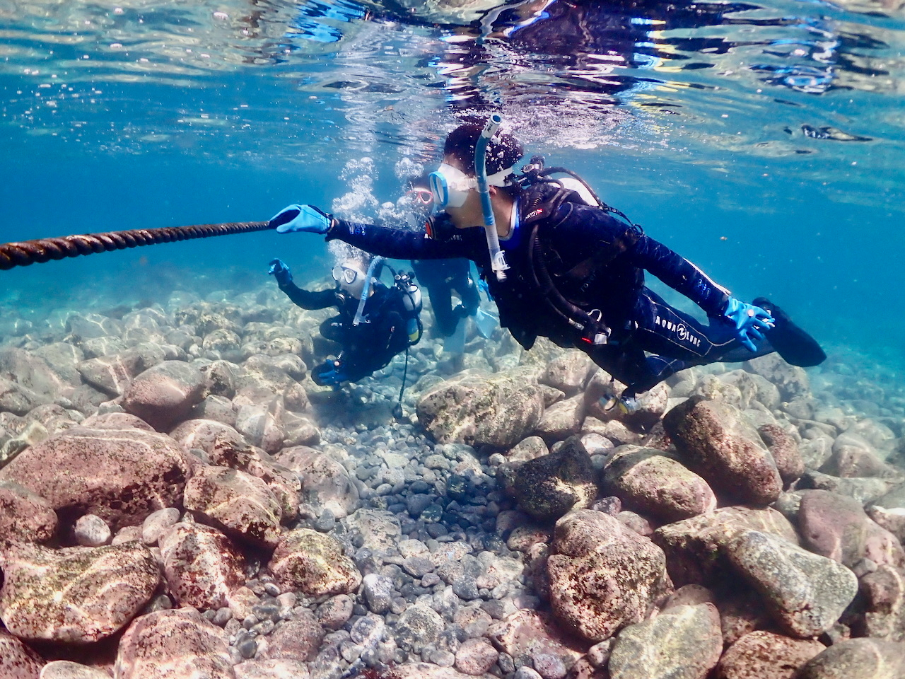 �G���g���[���_�C�o�[�ɗD�����K�C�h���[�v�t���B����������肾������A���͂̃R���g���[�����܂����ɂł��Ȃ����ł����S�ł��B