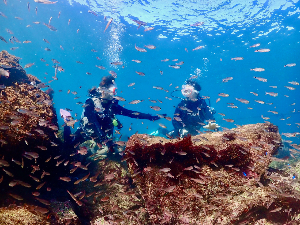 �����̑����ɂт�����I�I