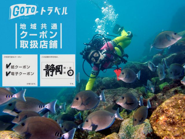 GO TOトラベル地域共通クーポン使って体験ダイビングできますよ〜♪