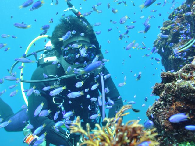 #俺の魚シリーズ  魚が多すぎて顔がうつらない