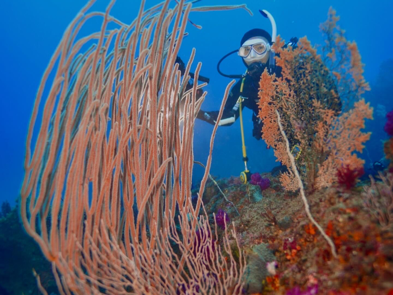 記念撮影サービス