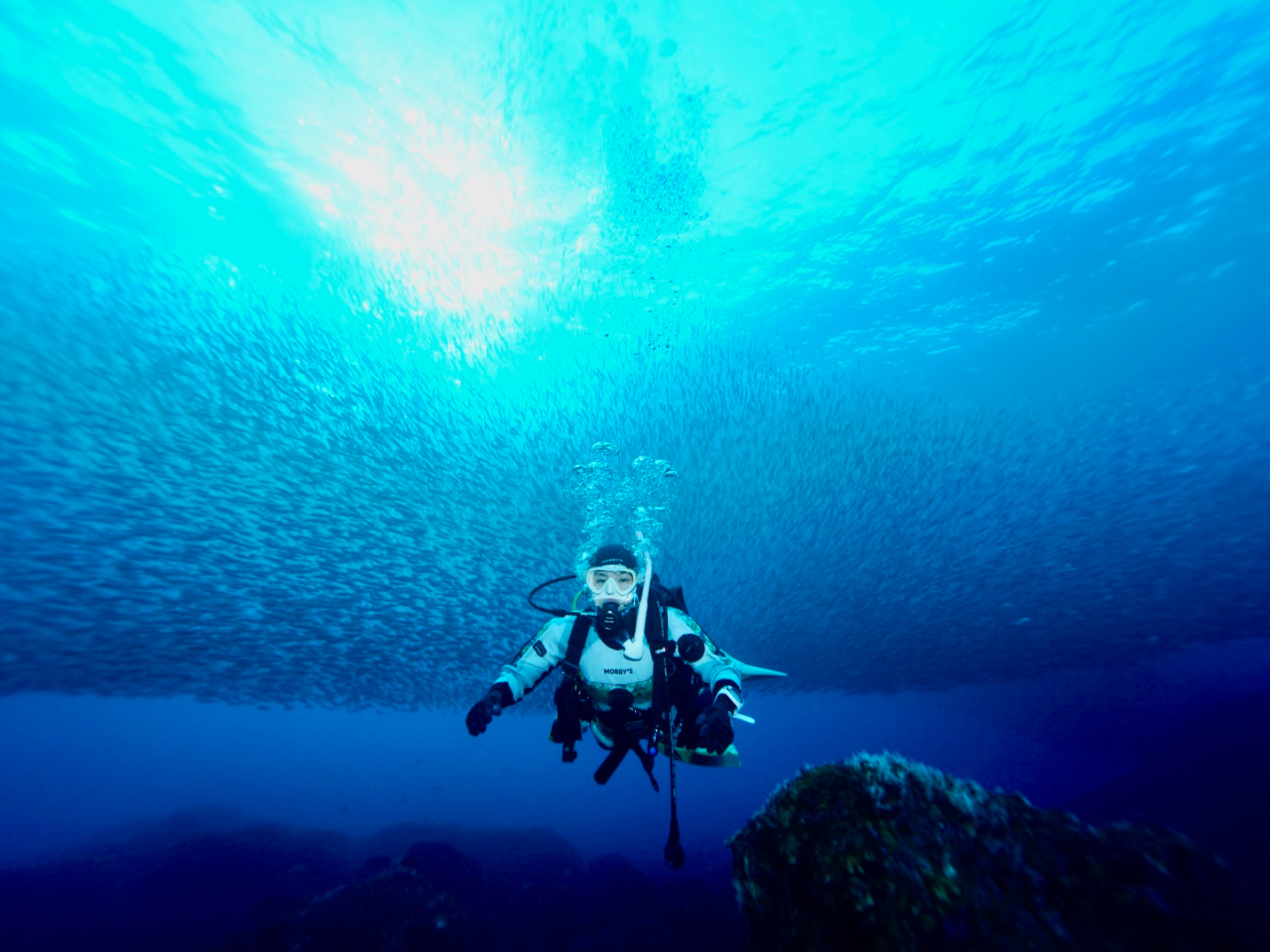 記念撮影サービス #イワシの大群と記念撮影