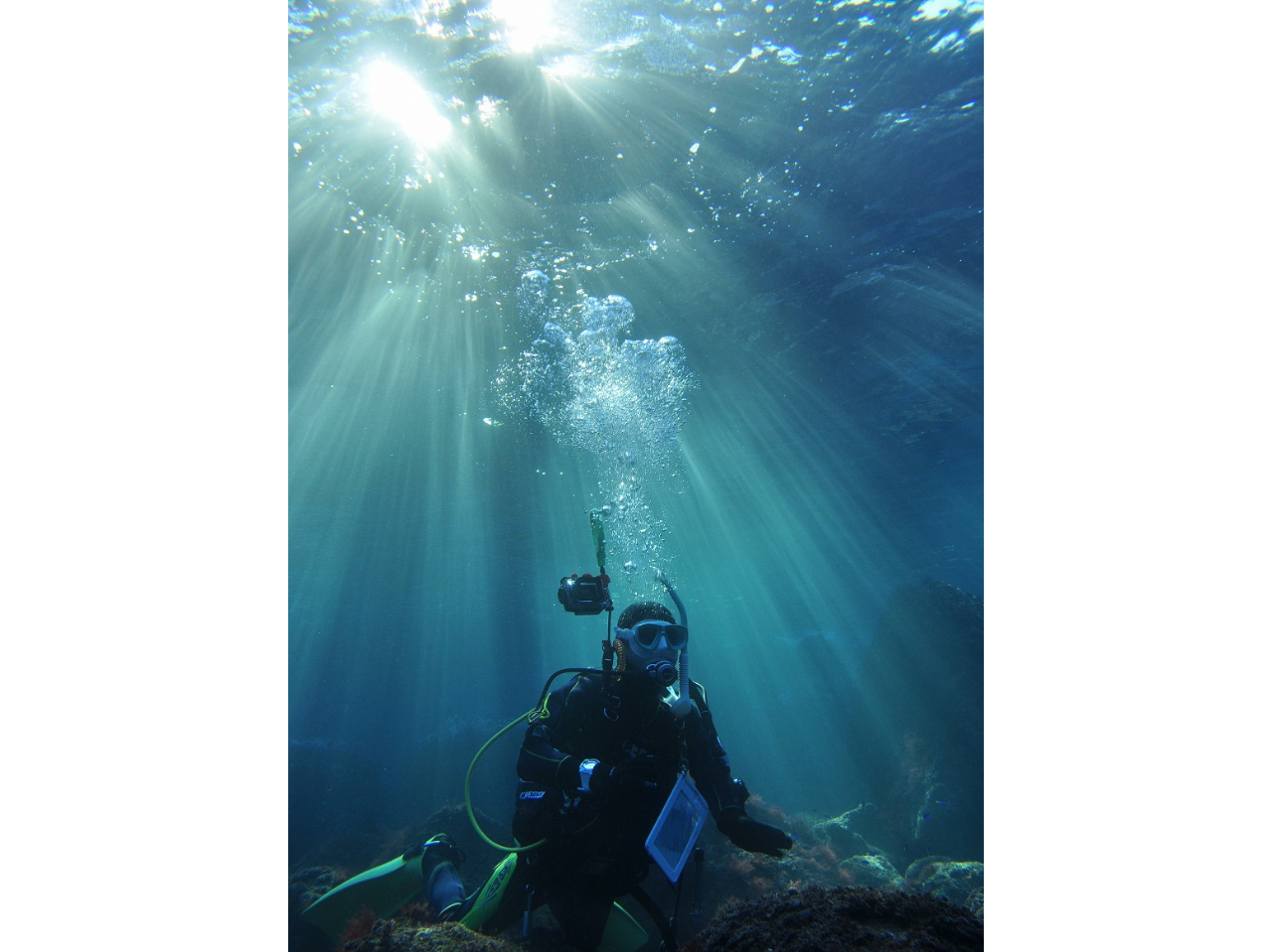 ̃V[Rт獡͂CȂĂˁI