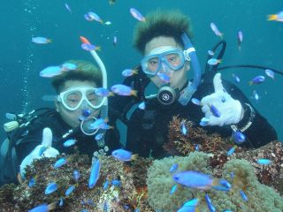 初心者向けファンダイビング 写真プレゼント