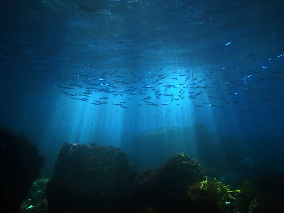 YȋG߂͓~̑OPJԁA߂XX̎ԑ