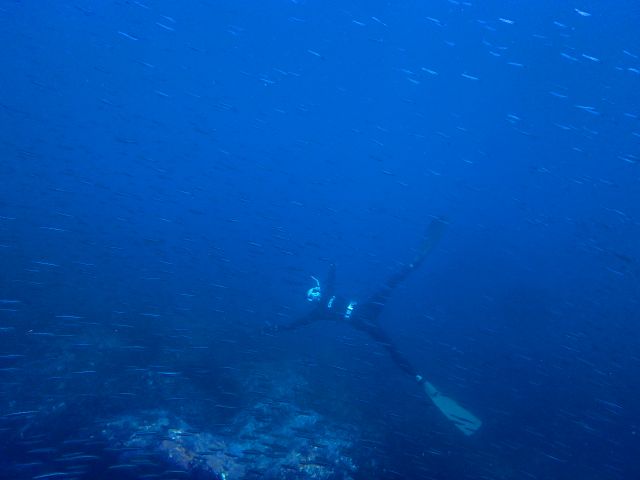 出来る方は潜ってみるのも有りですよ!