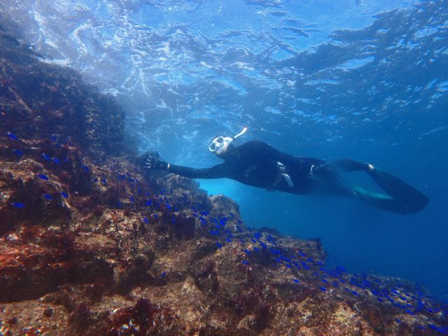 魚もいっぱい群れているところまで泳いていきましょう!ご案内します。