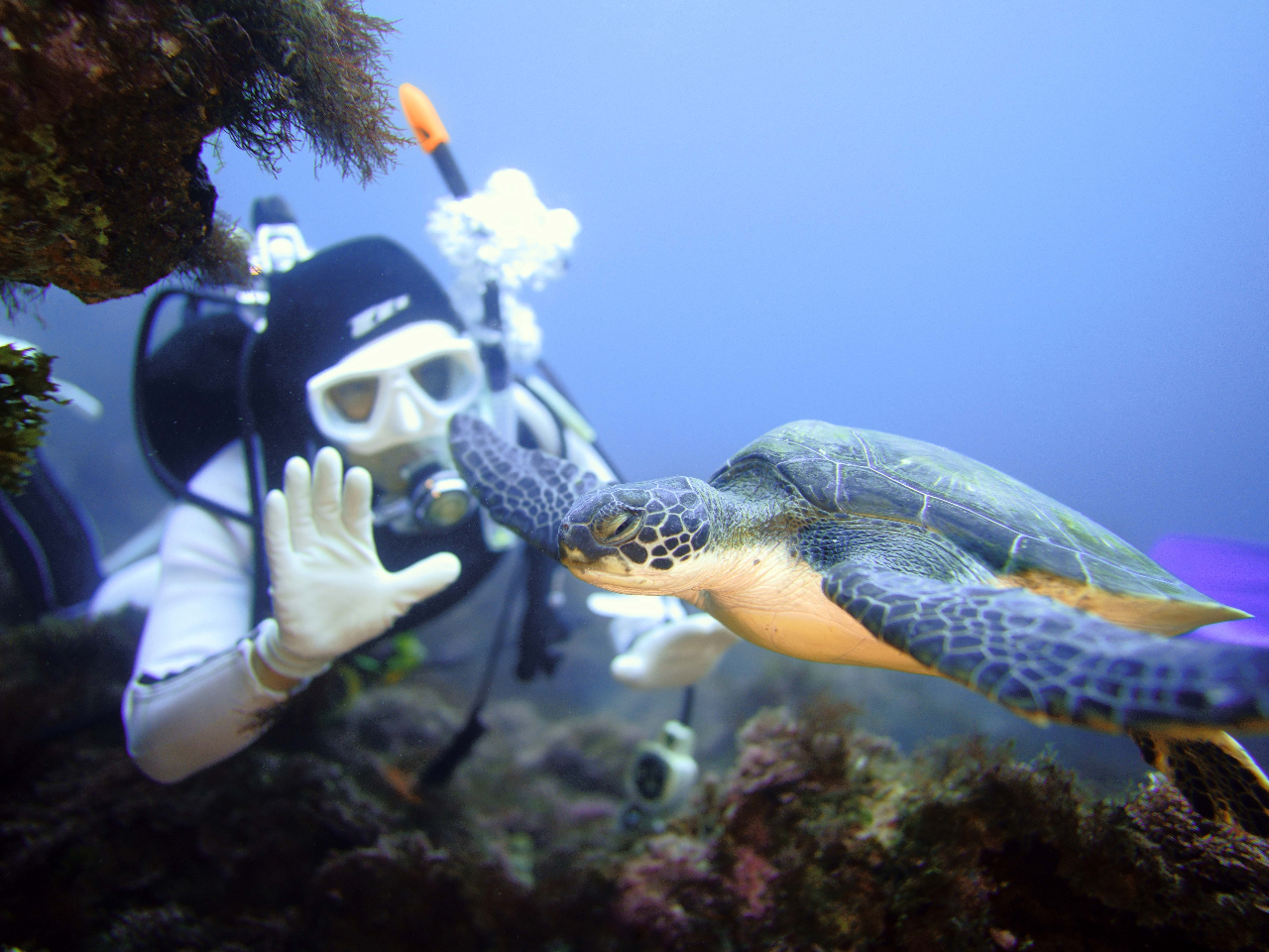 �J���ɂ����C�ł��I