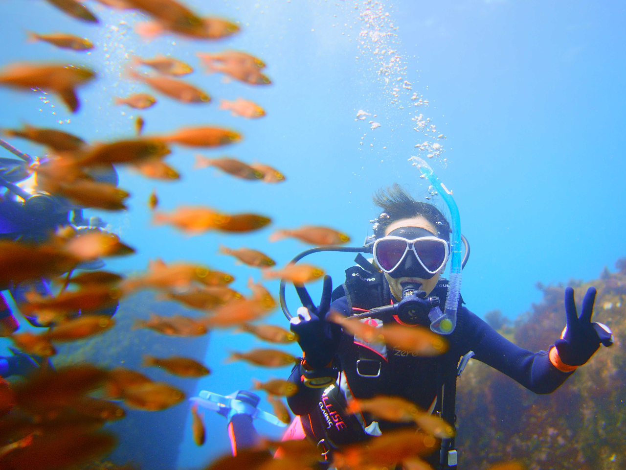 ���������ς�����C�ł�