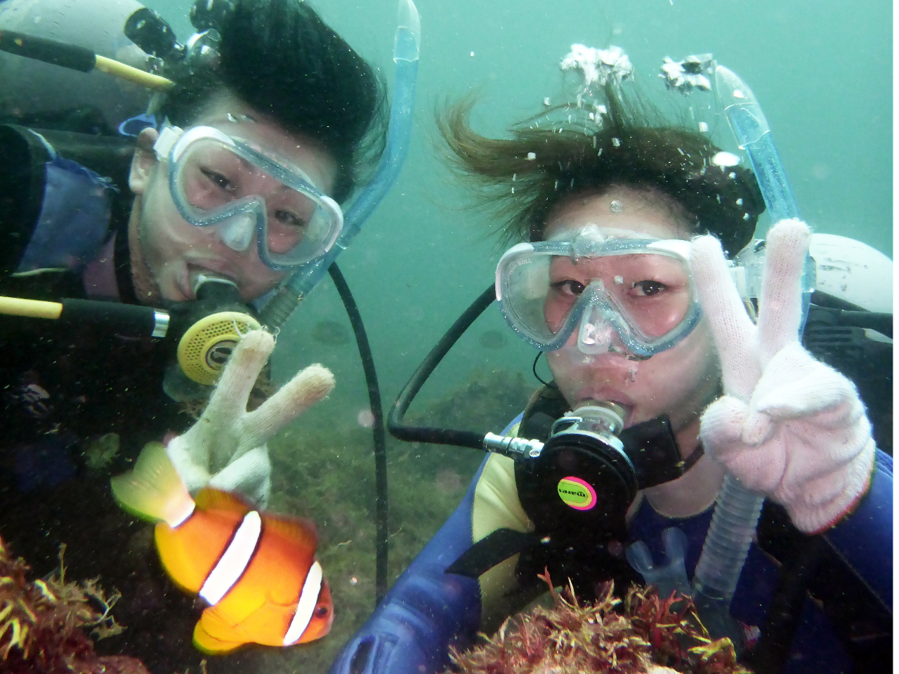 �ق���B����Ȃɋ߂��ŃN�}�m�~�������܂����