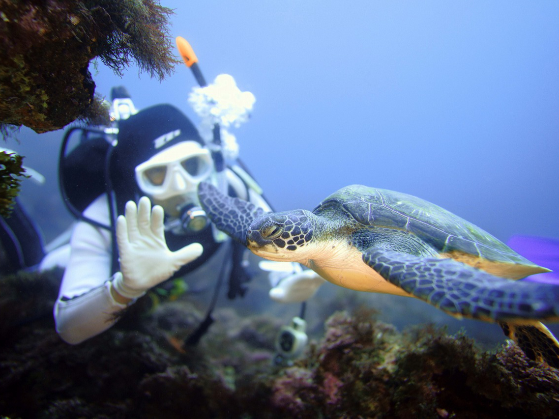 ���J������Ǝ�