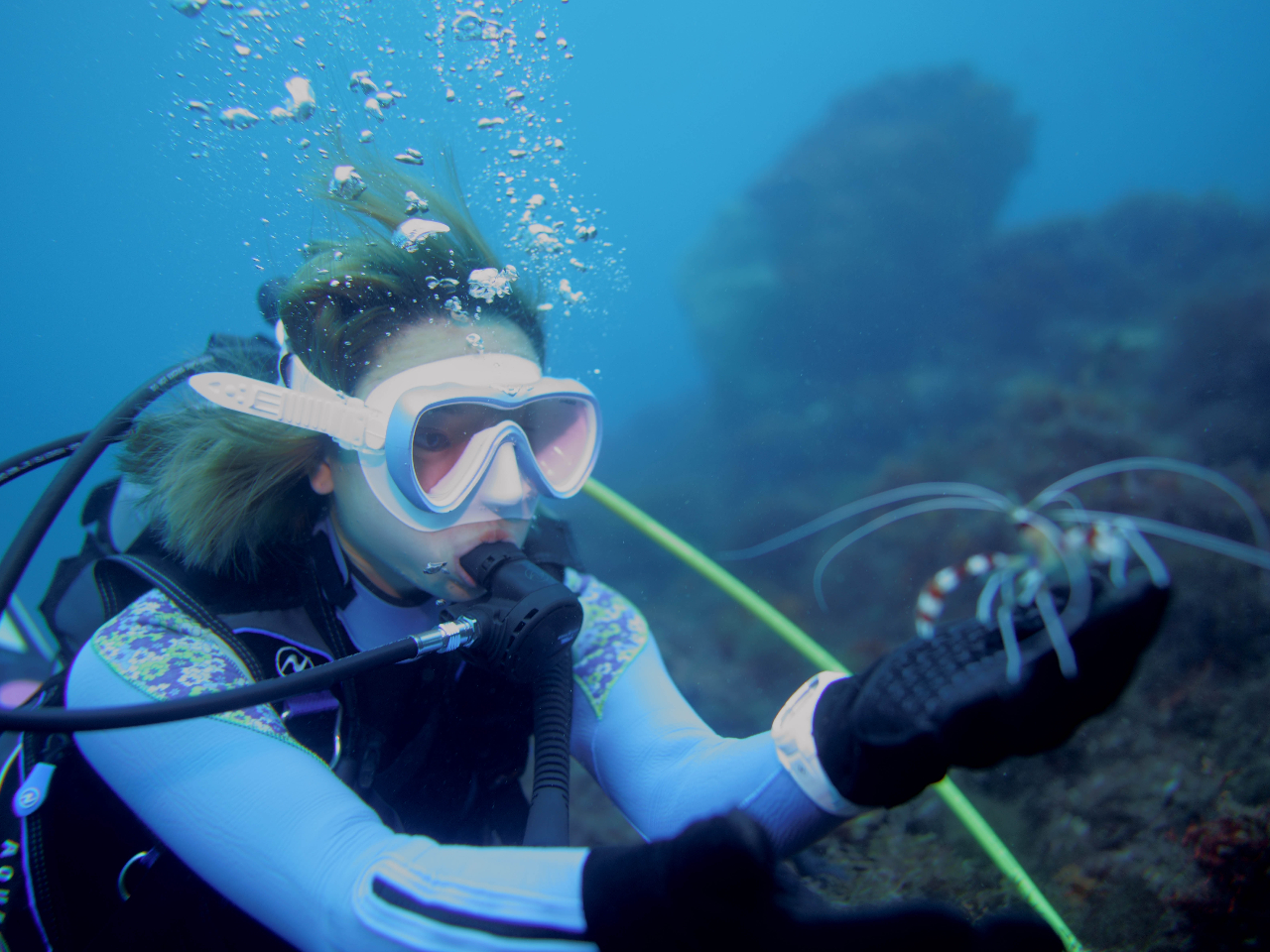 ���I�g�q���G�r�Ǝ�