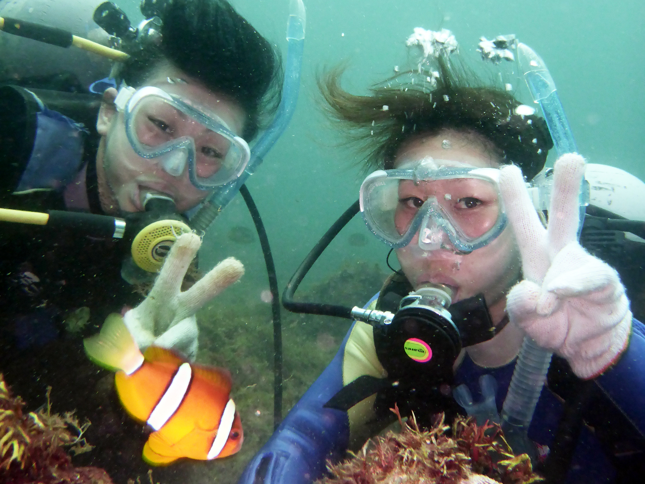 【じゃらんのお得な10日間】体験ダイビング【伊豆高原・午後12時/13時】クマノ...