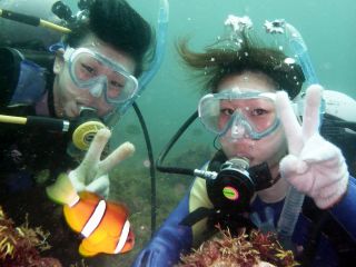 ほらっ。こんなに近くでクマノミが見られますよ♪