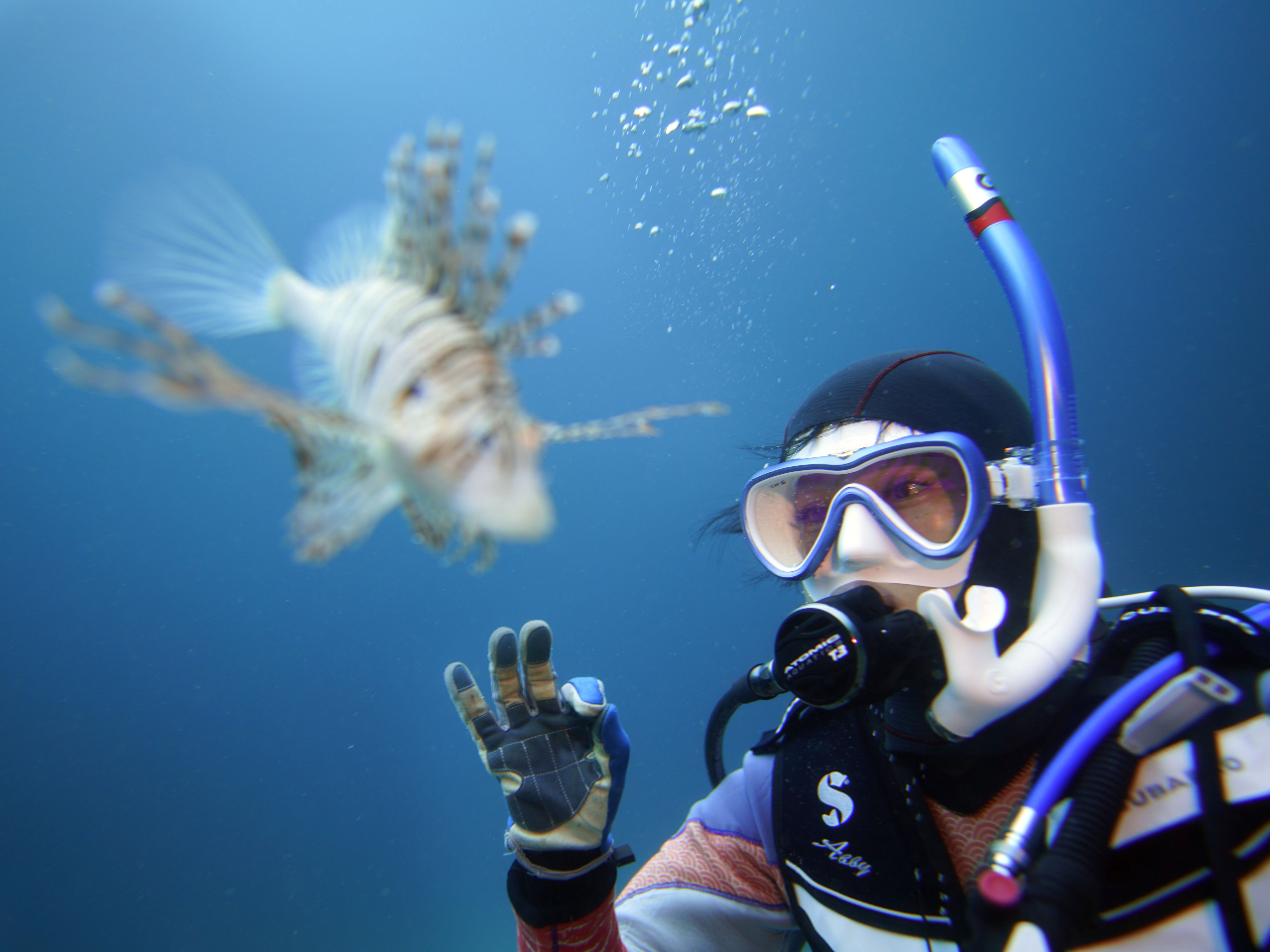 ���~�m�J�T�S�Ǝ�