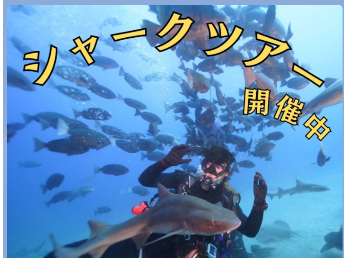 �A�h�o���X�_�C�o�[�Ȃ�s����T���c�A�[