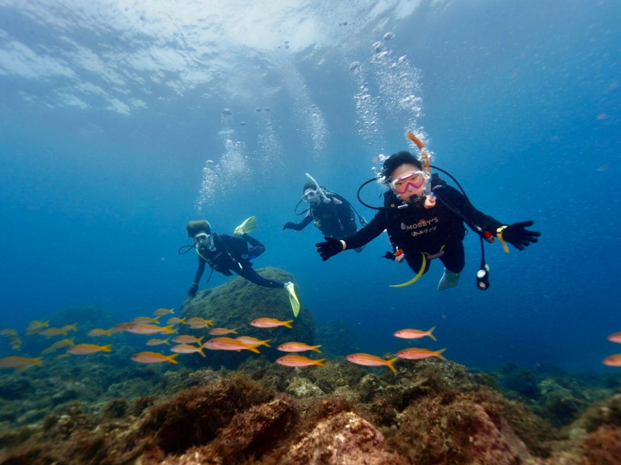 �A�h�o���X�_�C�r���O���i�A�l�i�A��p