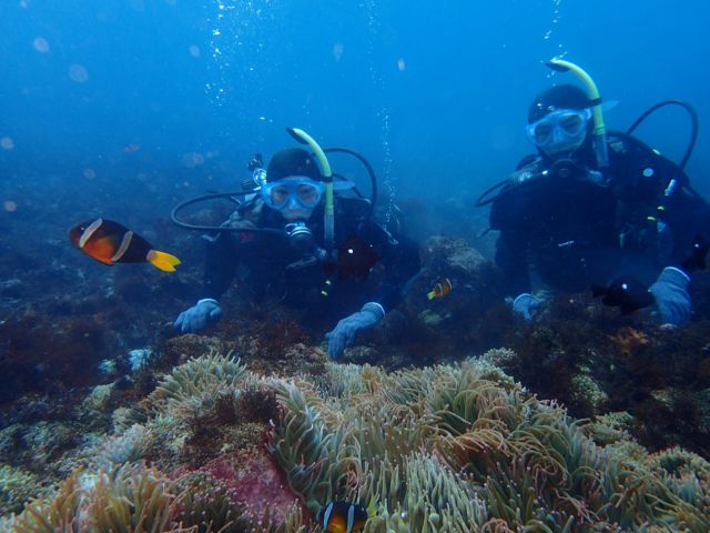 かわいい魚たちと記念写真!!