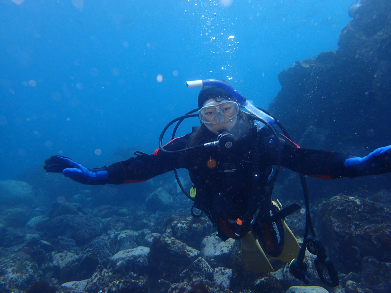 静岡 伊豆高原 体験ダイビングお一人様OKプラン~午前ご集合で午後はまったり