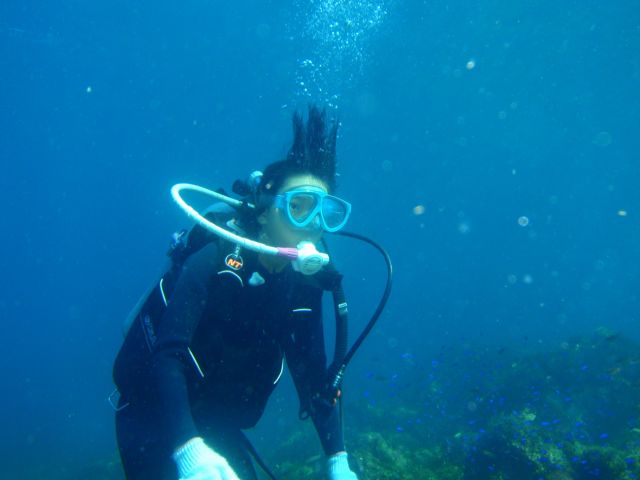 未知の世界の海中を楽しみましょう