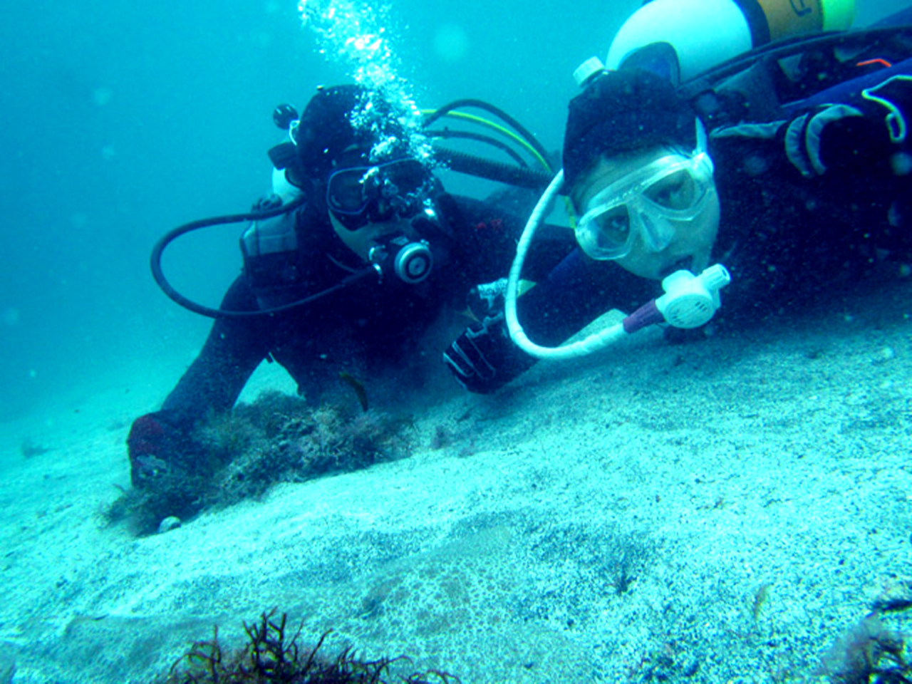 静岡 伊豆高原 体験ダイビング1日2ダイブプラン~初めてでも2ダイブできる